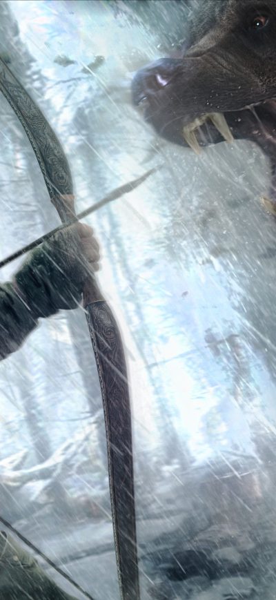 Fond d'écran Rise Of The Tomb Raider Game 3 sur iPhone