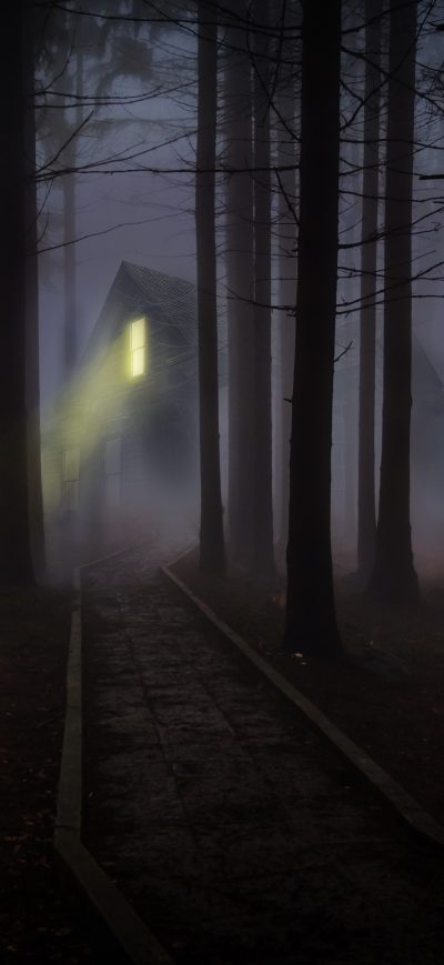 Fond d'écran iPhone House Forest Fog Woods Trees