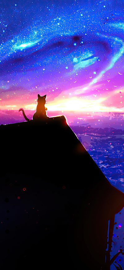 Fond d'écran iPhone Cat On Magic Roof 4k