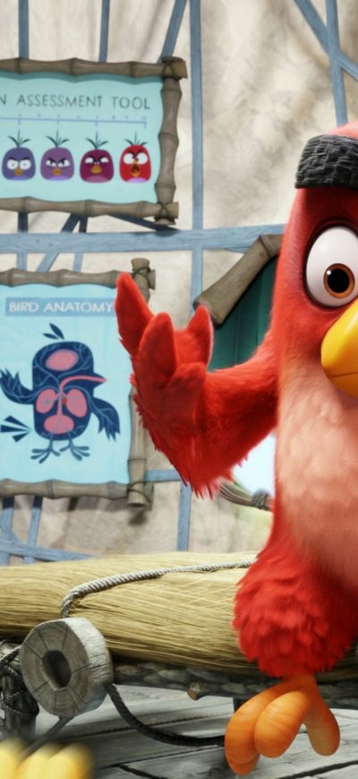 Fond d'écran iPhone Red The Angry Birds