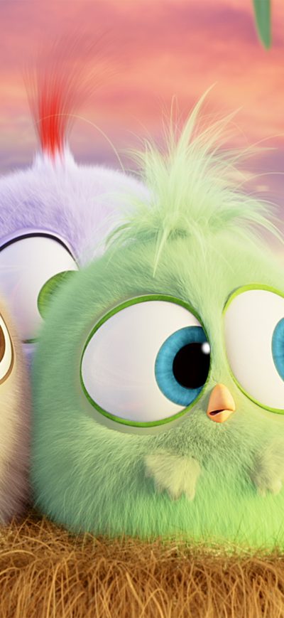 Fond d'écran iPhone Hatchlings Angry Birds