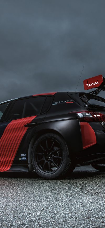 Fond d'écran iPhone Peugeot 308 TCR 2018 Rear