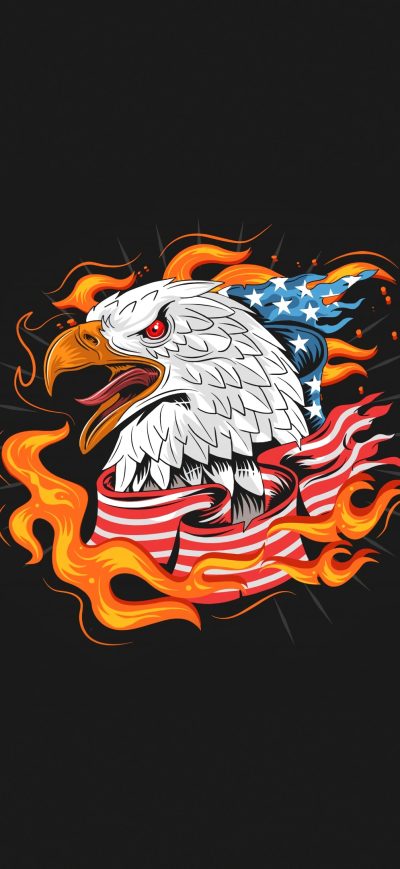 Fond d'écran iPhone Us Eagle Bird Minimal 4k