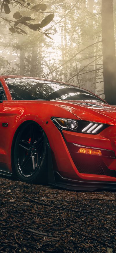Fond d'écran iPhone Ford Mustang Gt Forest Lord 5k