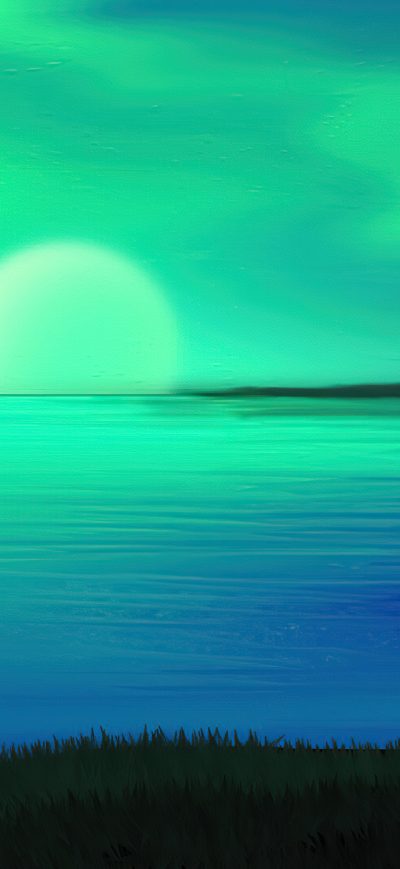 Fond d'écran iPhone Northern Lights Fox Howling 4k