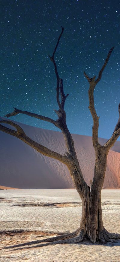 Fond d'écran iPhone Namibia Deadvlei Panorama 5k