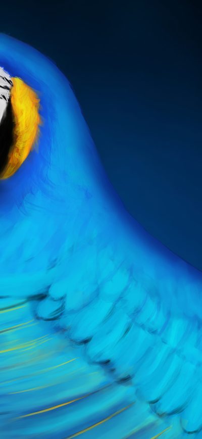 Fond d'écran iPhone Macaw Digital Art