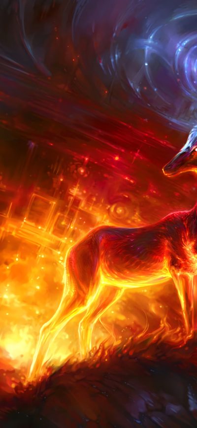 Fond d'écran iPhone Reindeer Power 4k