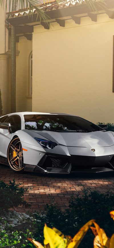 Fond d'écran iPhone Matte Lamborghini Aventador