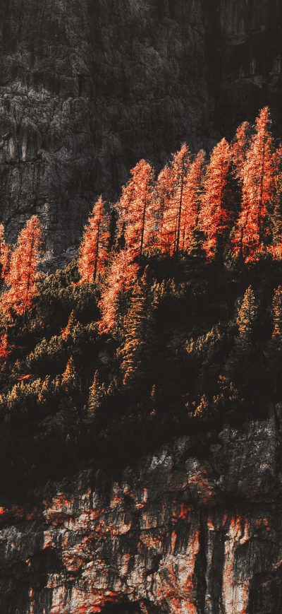 Fond d'écran iPhone Rocks Mountains Surrounded By Trees 4k