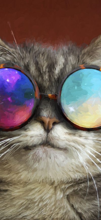 Fond d'écran iPhone Cat Glasses Party Cool Painting