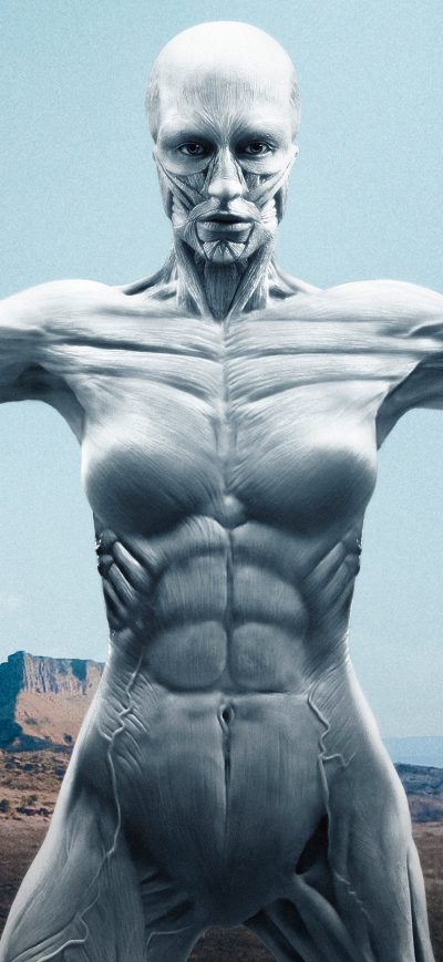 Fond d'écran iPhone Westworld Tv Show 4k