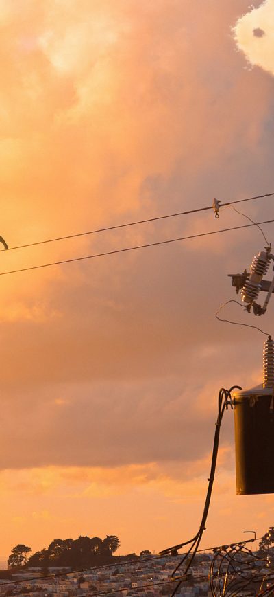 Fond d'écran iPhone Cat Walking On Powerline 4k