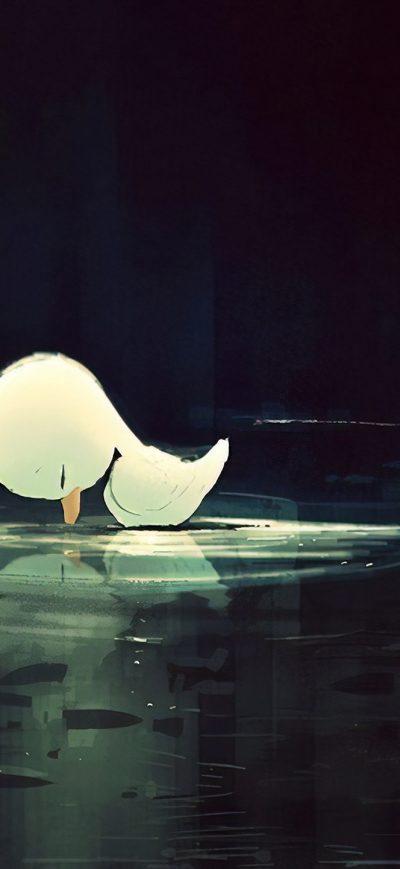 Fond d'écran iPhone Lost Again Bird