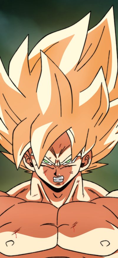 Fond d'écran iPhone Goku Namek