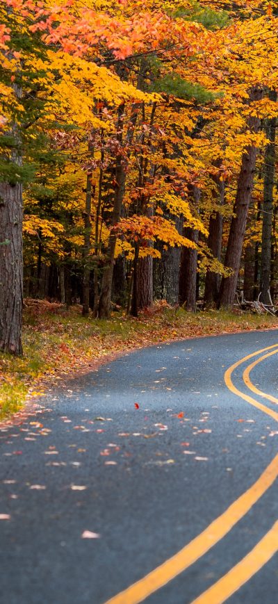 Fond d'écran iPhone Autumn Drive Road 4k