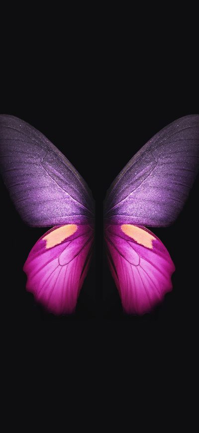 Fond d'écran iPhone Samsung Galaxy Fold Butterfly