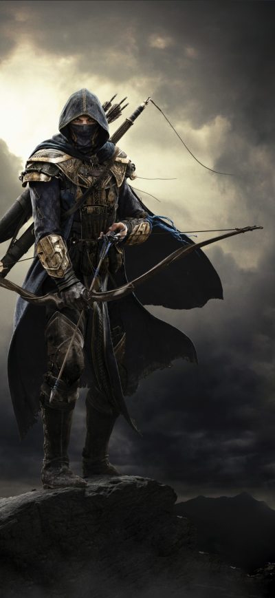 Fond d'écran iPhone Elder Scrolls Online Warrior