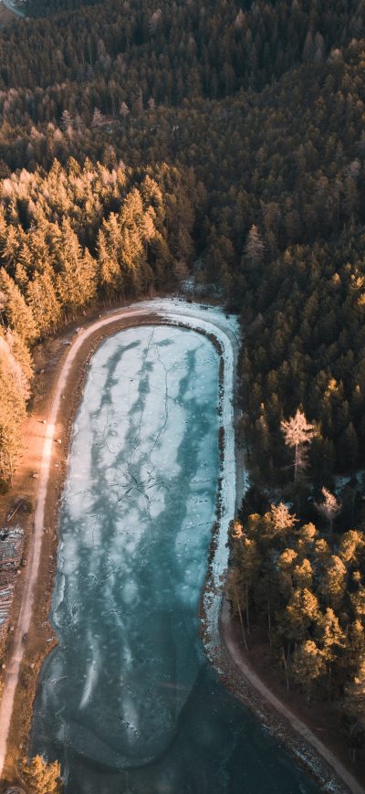 Fond d'écran iPhone Aerial Photography Trees 4k