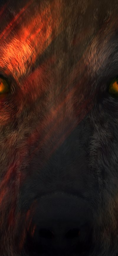 Fond d'écran iPhone Wild Wolf Eyes