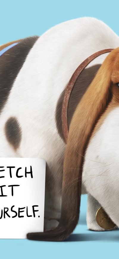 Fond d'écran iPhone Pops The Secret Life Of Pets