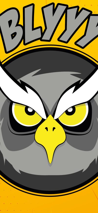 Fond d'écran iPhone Owl Digital Art 4k