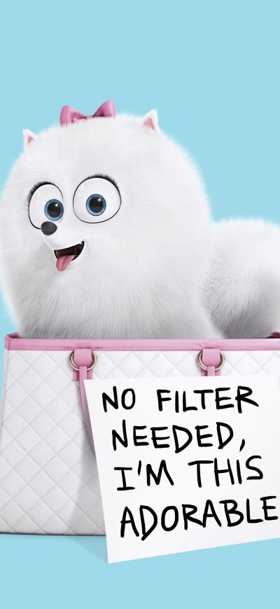 Fond d'écran iPhone Gidget The Secret Life Of Pets