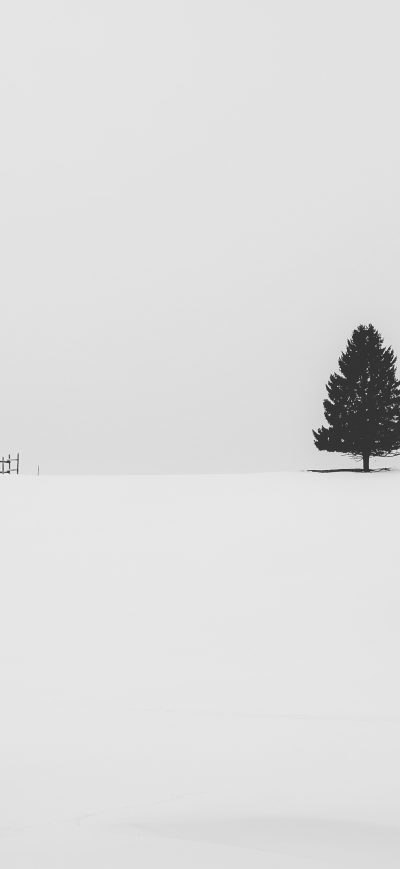 Fond d'écran iPhone Snow Tree Minimal 5k