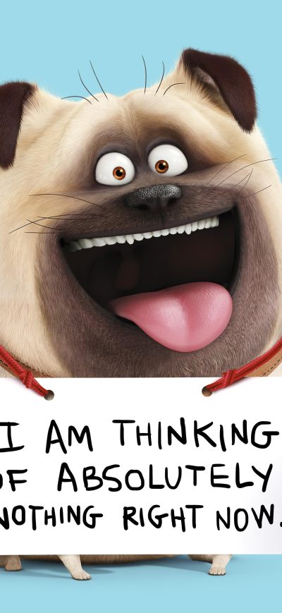 Fond d'écran iPhone Mel The Secret Life Of Pets