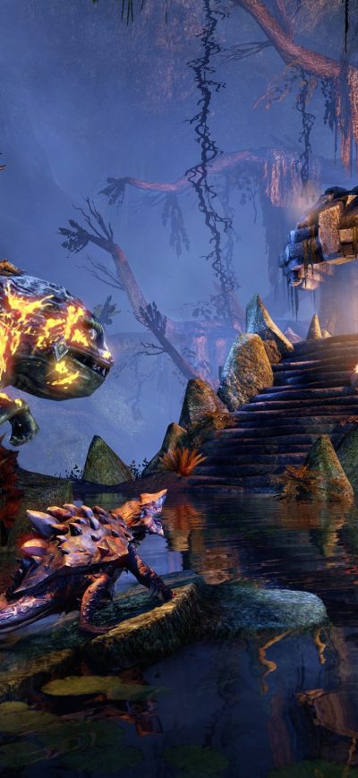 Fond d'écran Elderscrolls 6 sur iPhone