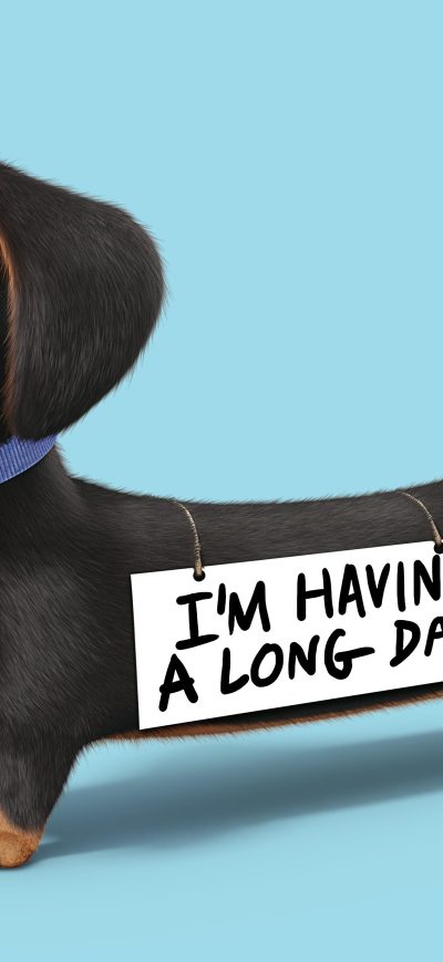 Fond d'écran iPhone Buddy The Secret Life Of Pets