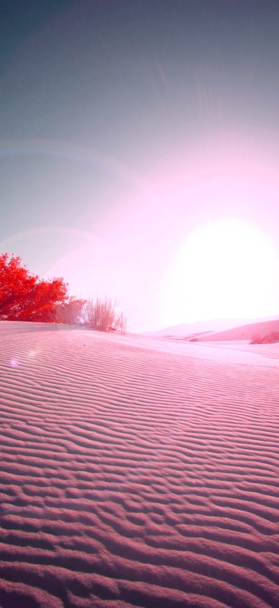 Fond d'écran iPhone Desert Flare