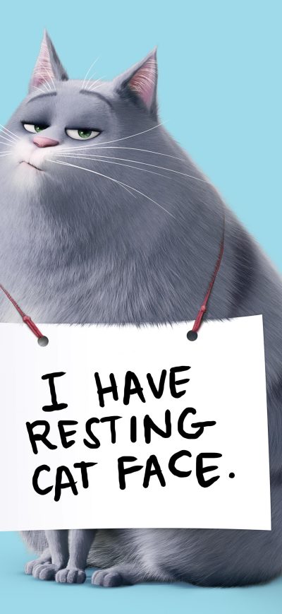 Fond d'écran iPhone Chloe The Secret Life Of Pets