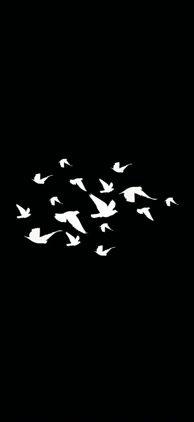 Fond d'écran iPhone Birds Flying Minimalist Dark 4k
