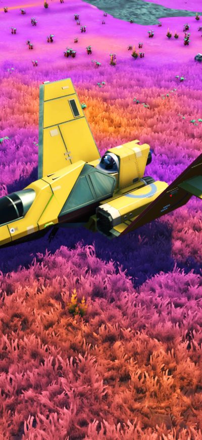 Fond d'écran iPhone No Mans Sky Game Plane Colorful Fields 4k