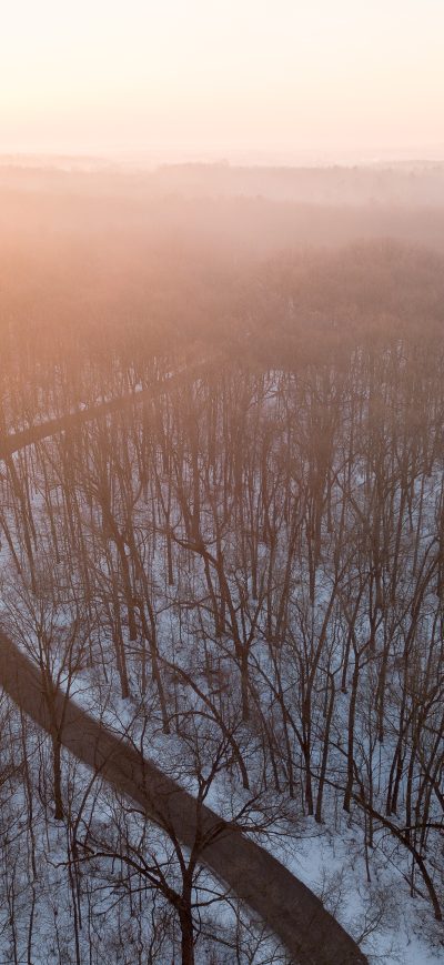 Fond d'écran iPhone Light Flare Trees Forest Road Snow 4k