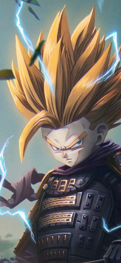 Fond d'écran iPhone Samurai Son Gohan