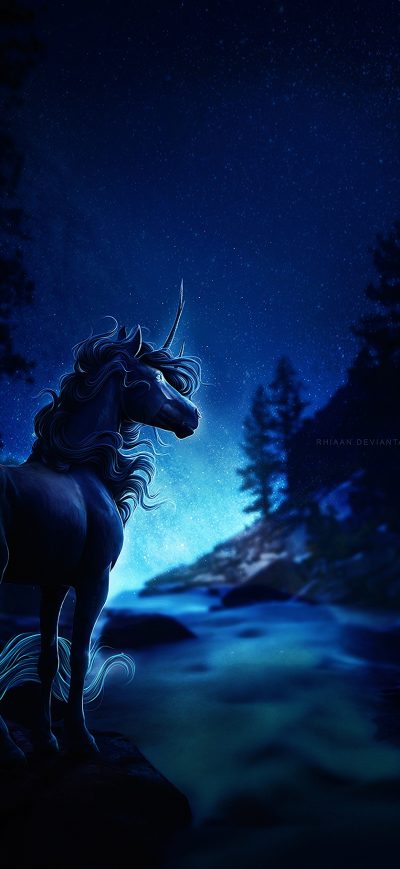 Fond d'écran iPhone Horse Blue Night