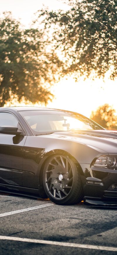 Fond d'écran iPhone Ford Mustang Shellby Black