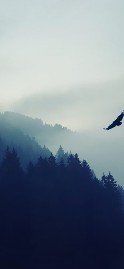 Fond d'écran Eagle Over The Mountain sur iPhone