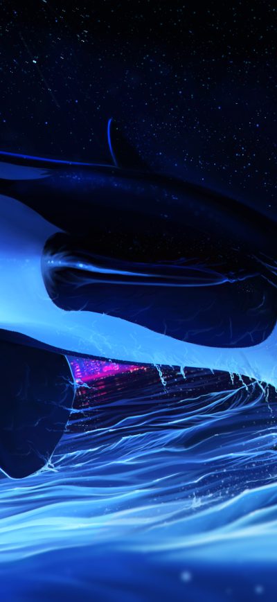 Fond d'écran iPhone Dolphin Night Orca Whale Digital Art