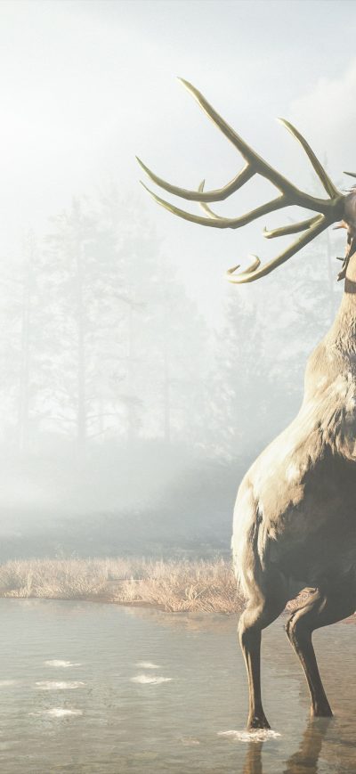 Fond d'écran iPhone Assassins Creed Odyssey Reindeer 4k
