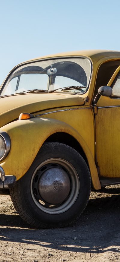 Fond d'écran iPhone Hailee Steinfeld In Bumblebee Movie 2018 5k