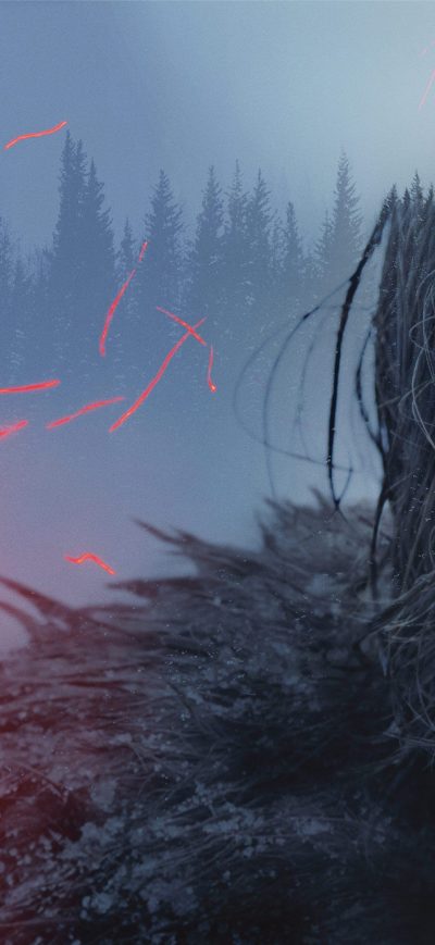 Fond d'écran iPhone The Revenant Movie 2016 HD