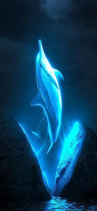 Fond d'écran iPhone Mystical Dolphin