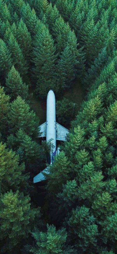 Fond d'écran iPhone Plane In Middle Of Forest 4k