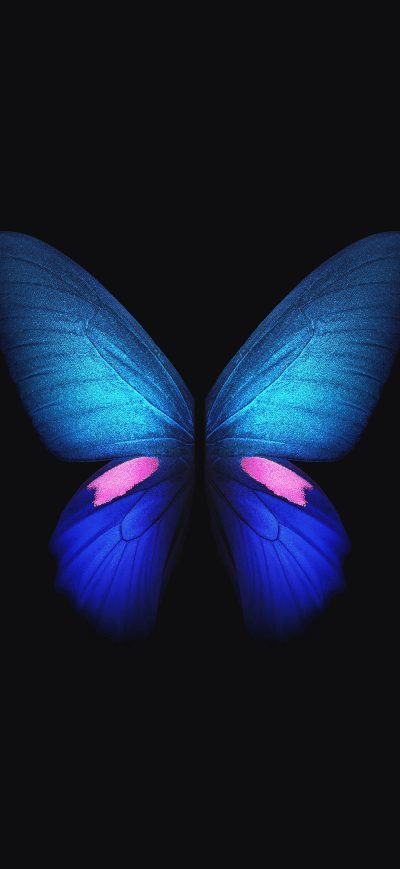 Fond d'écran iPhone Samsung Galaxy Fold Stock