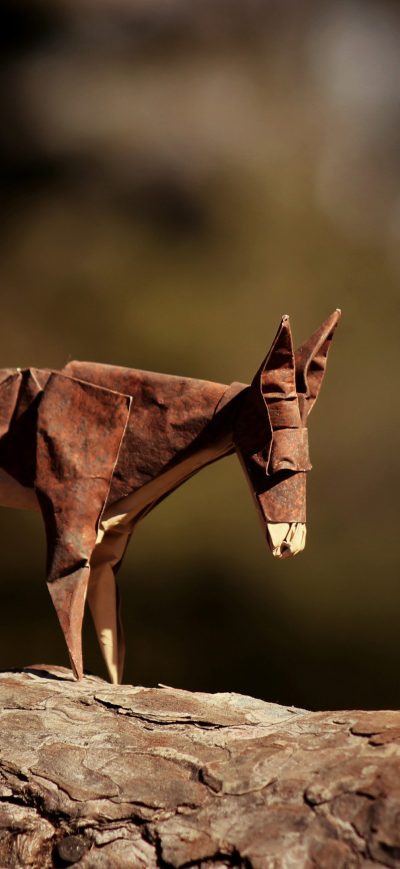 Fond d'écran iPhone Donkey Origami