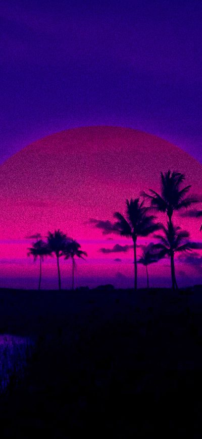 Fond d'écran iPhone Miami Sunset Artistic