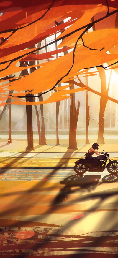 Fond d'écran iPhone Autumn Fall Countryside Biker